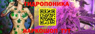ECSTASY Донской
