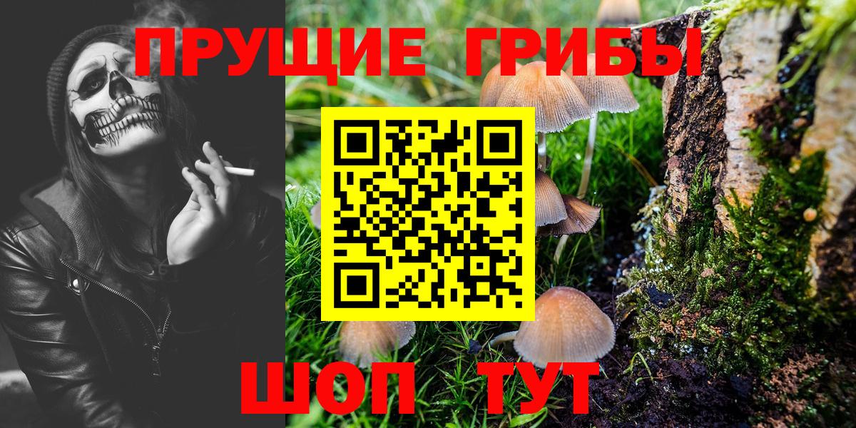 Псилоцибиновые грибы прущие грибы  Вход с VPN  Изобильный 